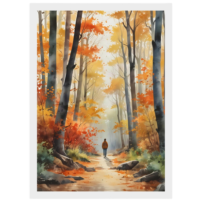 Autumn Woodland Path, print in a white frame