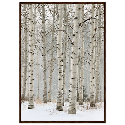 Birch in falling snow, print in a dark wood frame