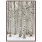 Birch in falling snow, print in a dark wood frame