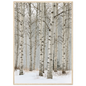 Birch in falling snow, print in a natural wood frame