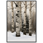 Birch trunks in deep snow, print in a black frame