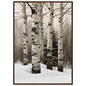 Birch trunks in deep snow, print in a dark wood frame