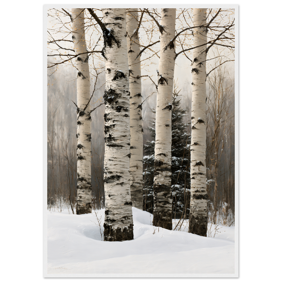 Birch trunks in deep snow, print in a white frame