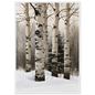 Birch trunks in deep snow, print in a white frame