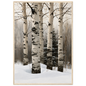 Birch trunks in deep snow, print in a natural wood frame