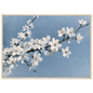 White blackthorn blossom against a pale blue sky in oil, print in a natural wood frame