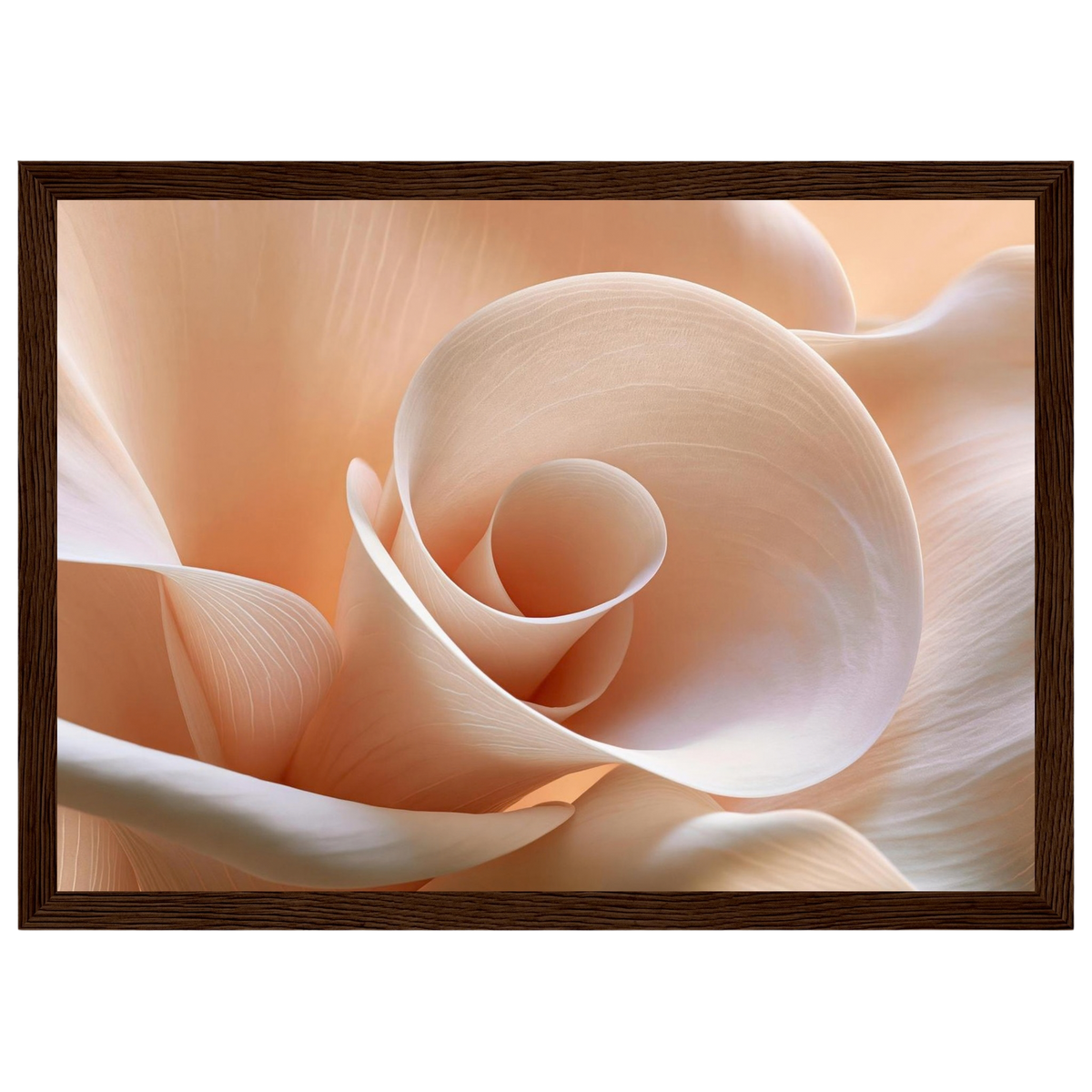 Blush Petal Spiral, print in a dark wood frame