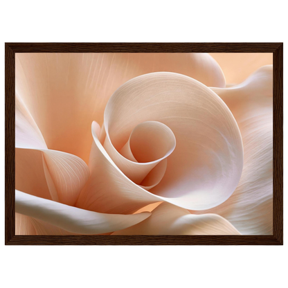 Blush Petal Spiral, print in a dark wood frame