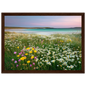 Machair wildflower meadow print in a dark brown wood frame