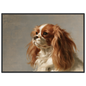 A Blenheim Cavalier King Charles Spaniel oil portrait, print in a black frame