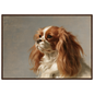 A Blenheim Cavalier King Charles Spaniel oil portrait, print in a dark wood frame