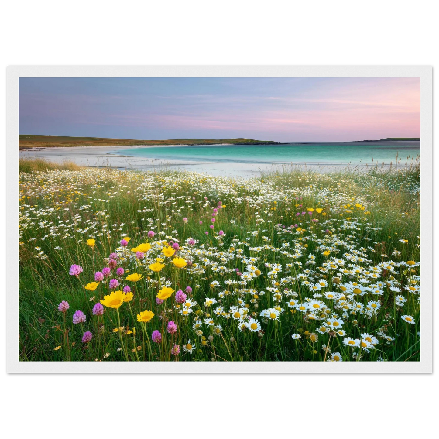 Wildflower meadow above white sand, in a white frame with a wide mount