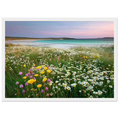 Wildflower meadow above white sand, in a white frame with a wide mount