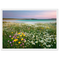 Wildflower meadow above white sand, in a white frame with a wide mount