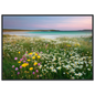 Summer meadow above a turquoise bay, framed in dark grey