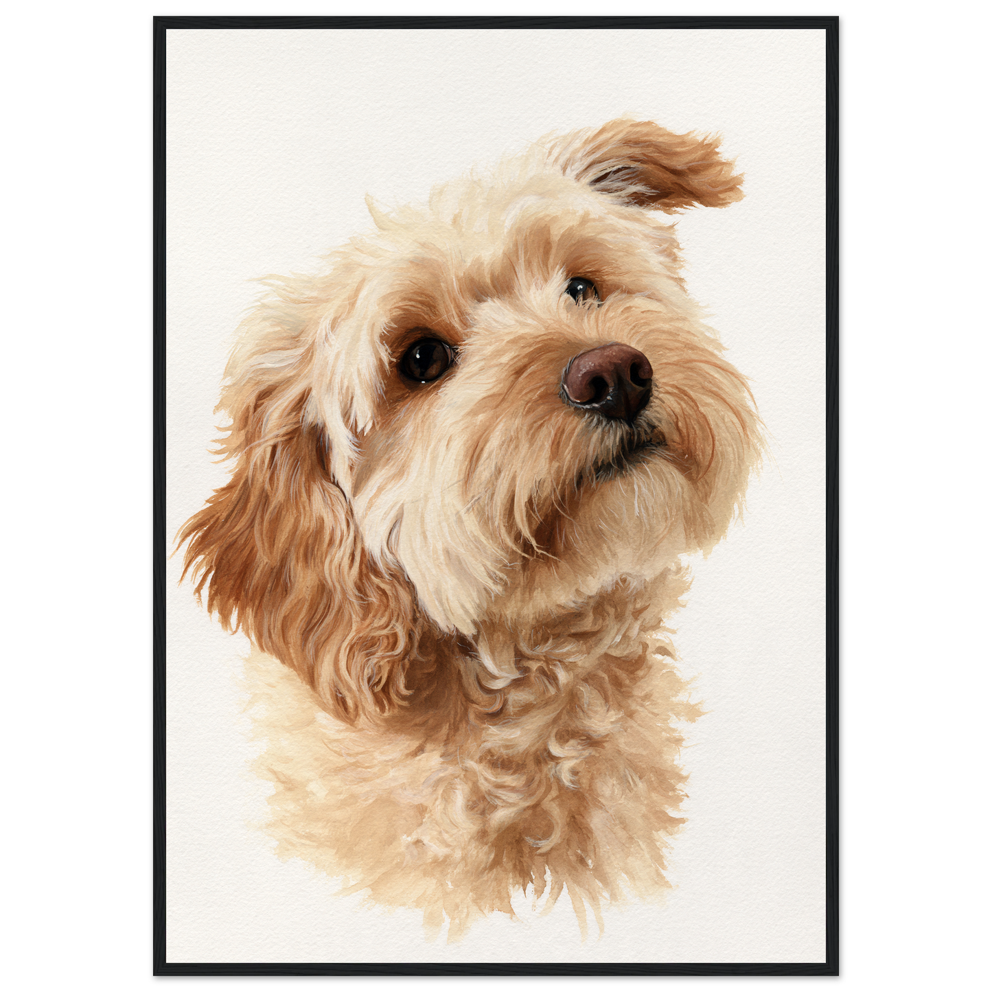 Cockapoo in window light, print in a black frame