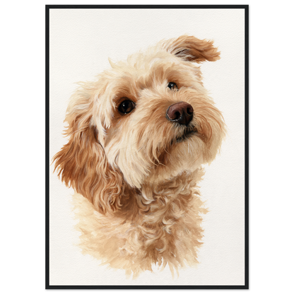 Cockapoo in window light, print in a black frame