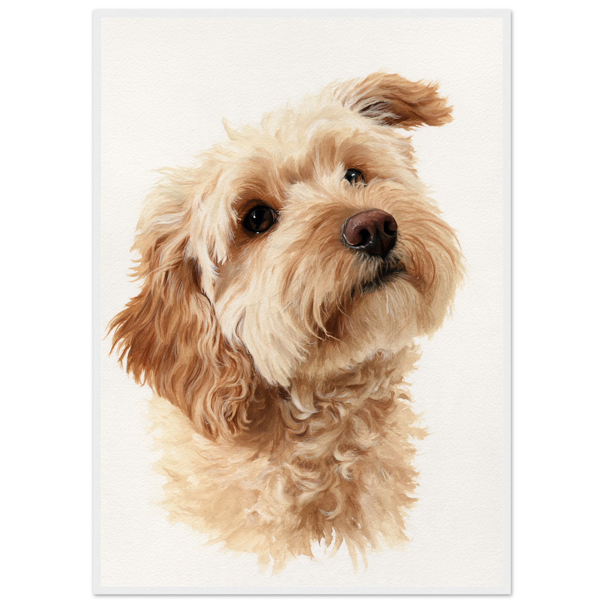 Cockapoo in window light, print in a white frame