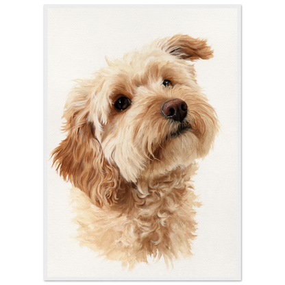 Cockapoo in window light, print in a white frame