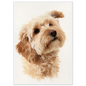 Cockapoo in window light, print in a white frame