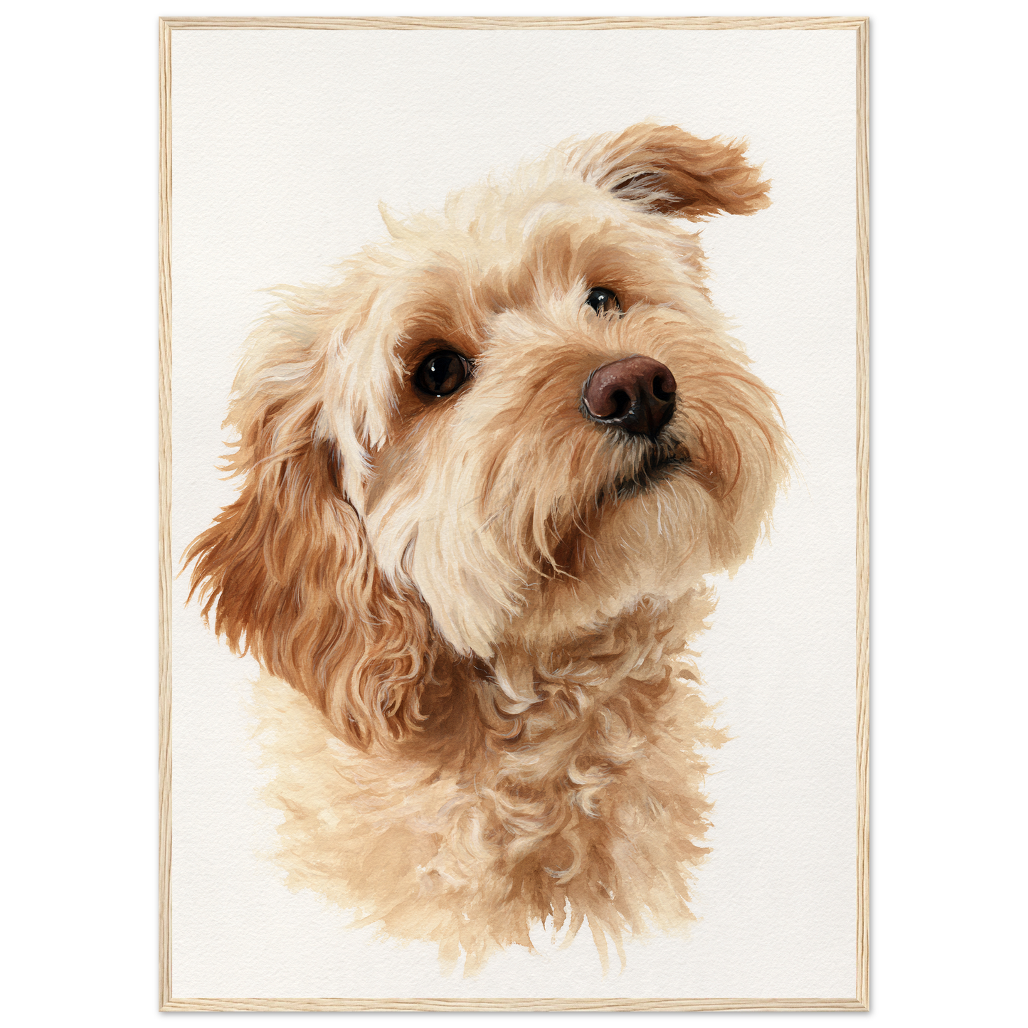 Cockapoo in window light, print in a natural wood frame