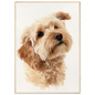 Cockapoo in window light, print in a natural wood frame