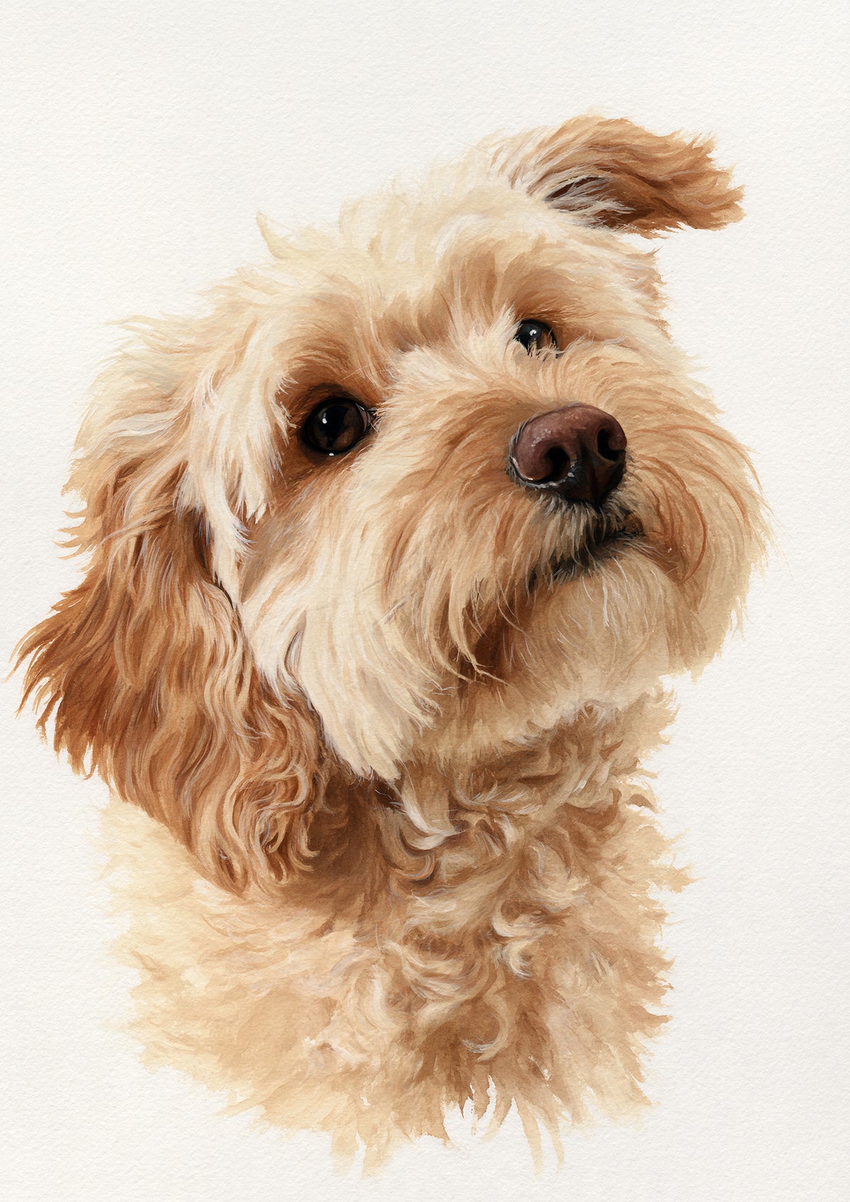 A cockapoo with apricot curls and a tilted head, painted in soft watercolour against a pale window-lit ground