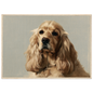 A golden Cocker Spaniel oil portrait, print in a natural wood frame