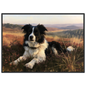 Border collie on a heather hill print in a black frame