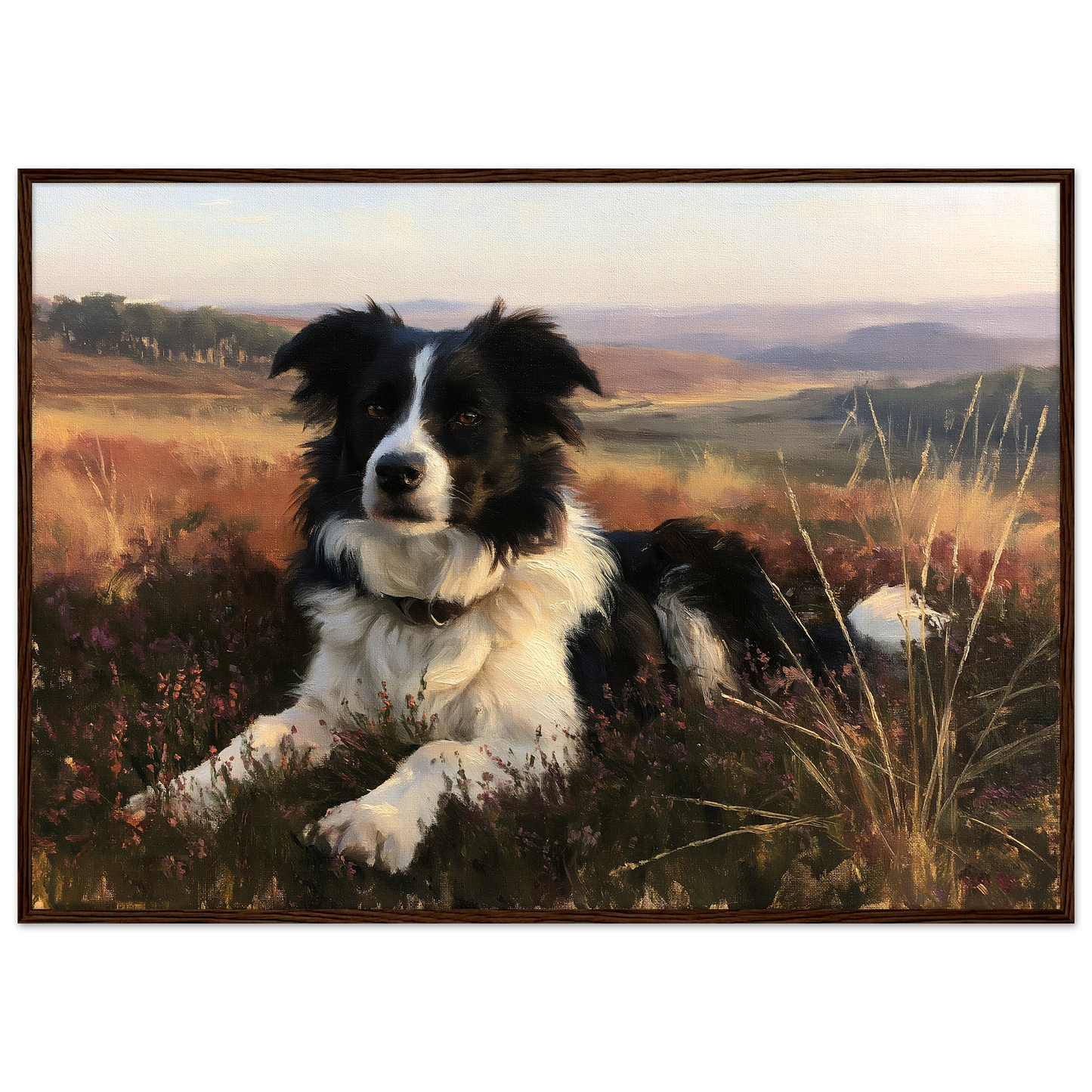 Border collie on a heather hill print in a dark brown wood frame