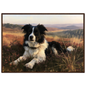 Border collie on a heather hill print in a dark brown wood frame