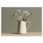 White cow parsley in a cream jug against a soft sage wall, print in a white frame