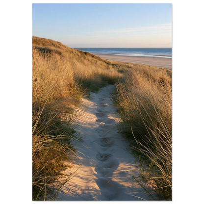 Sand track through amber marram grass to an empty beach at golden hour, unframed print