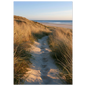 Sand track through amber marram grass to an empty beach at golden hour, unframed print