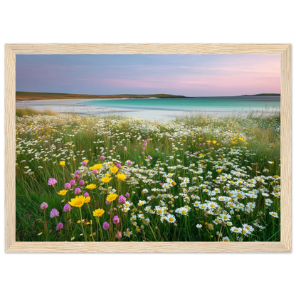 Hebridean machair meadow print in a light oak frame