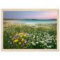 Hebridean machair meadow print in a light oak frame
