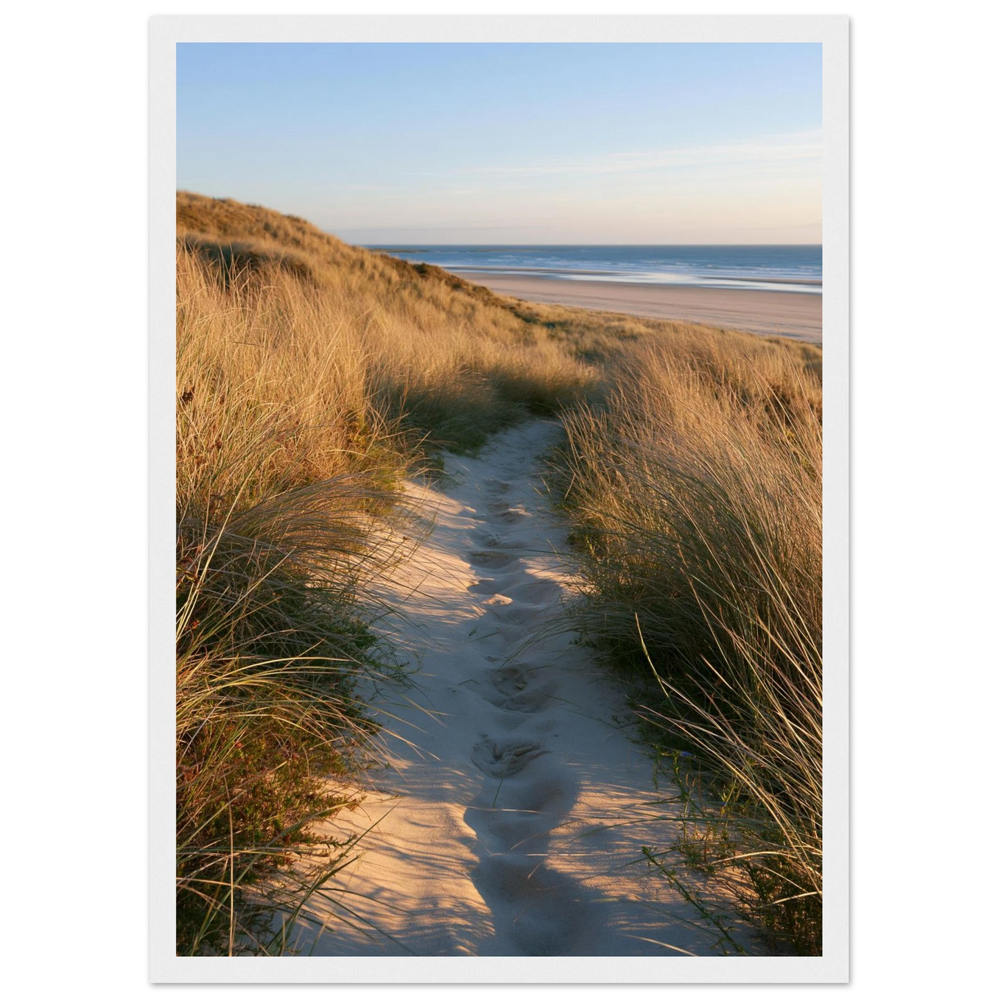 Sand track through amber marram grass to an empty beach at golden hour, print in a white frame