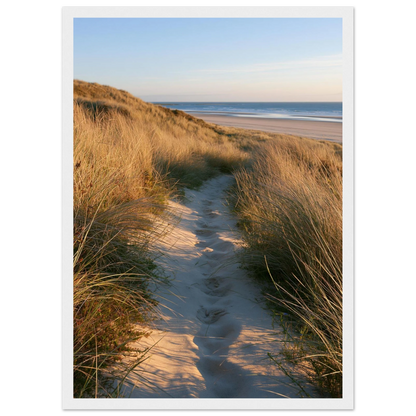 Sand track through amber marram grass to an empty beach at golden hour, print in a white frame