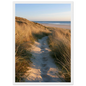 Sand track through amber marram grass to an empty beach at golden hour, print in a white frame