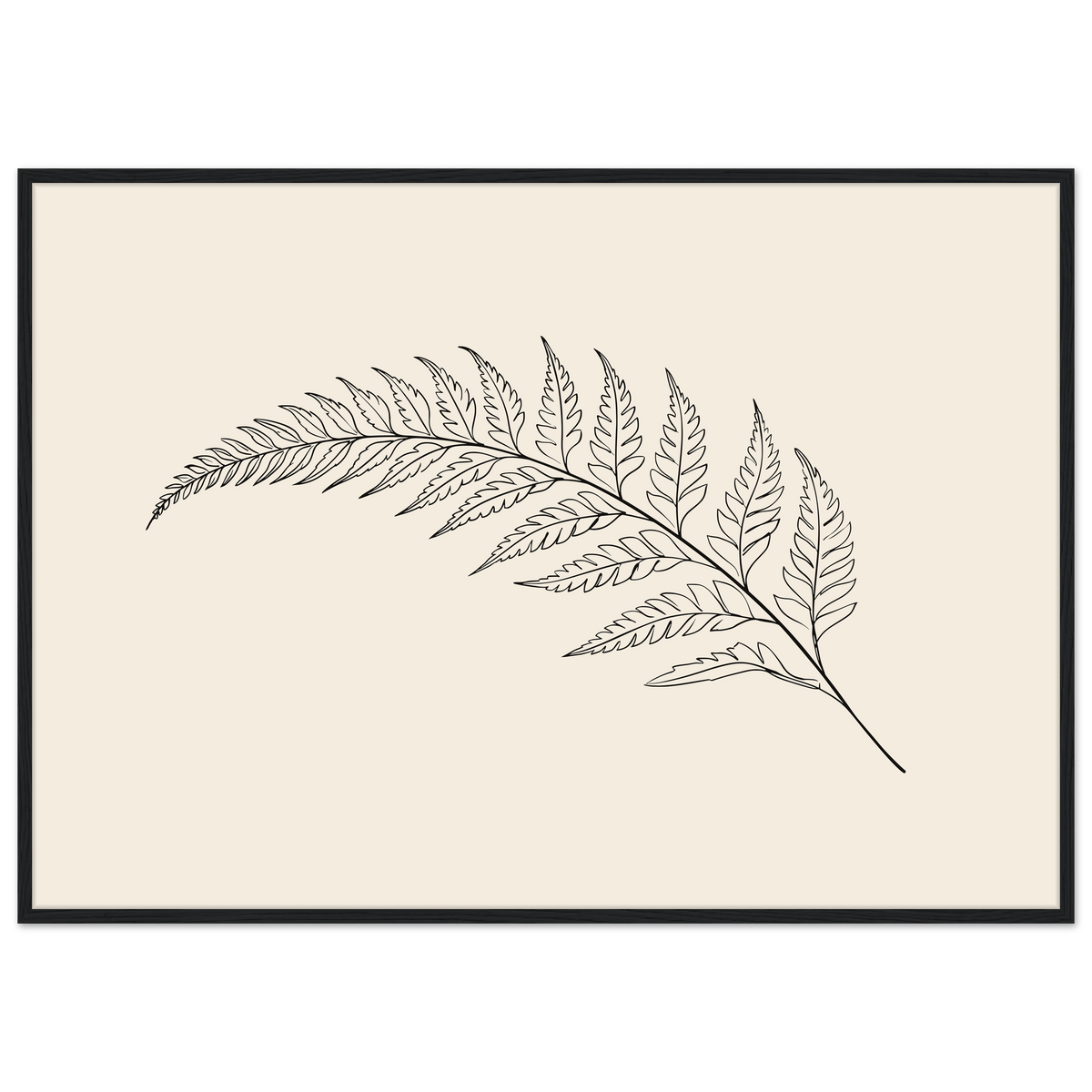 Fern frond line drawing on warm cream, print in a black frame