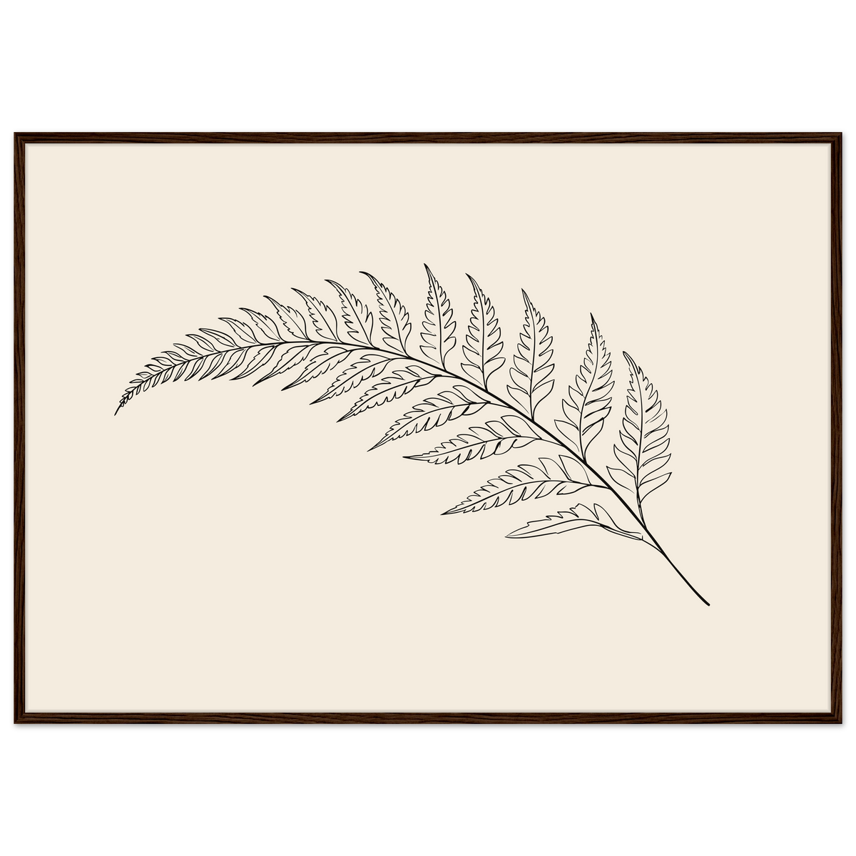 Fern frond line drawing on warm cream, print in a dark wood frame