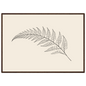 Fern frond line drawing on warm cream, print in a dark wood frame