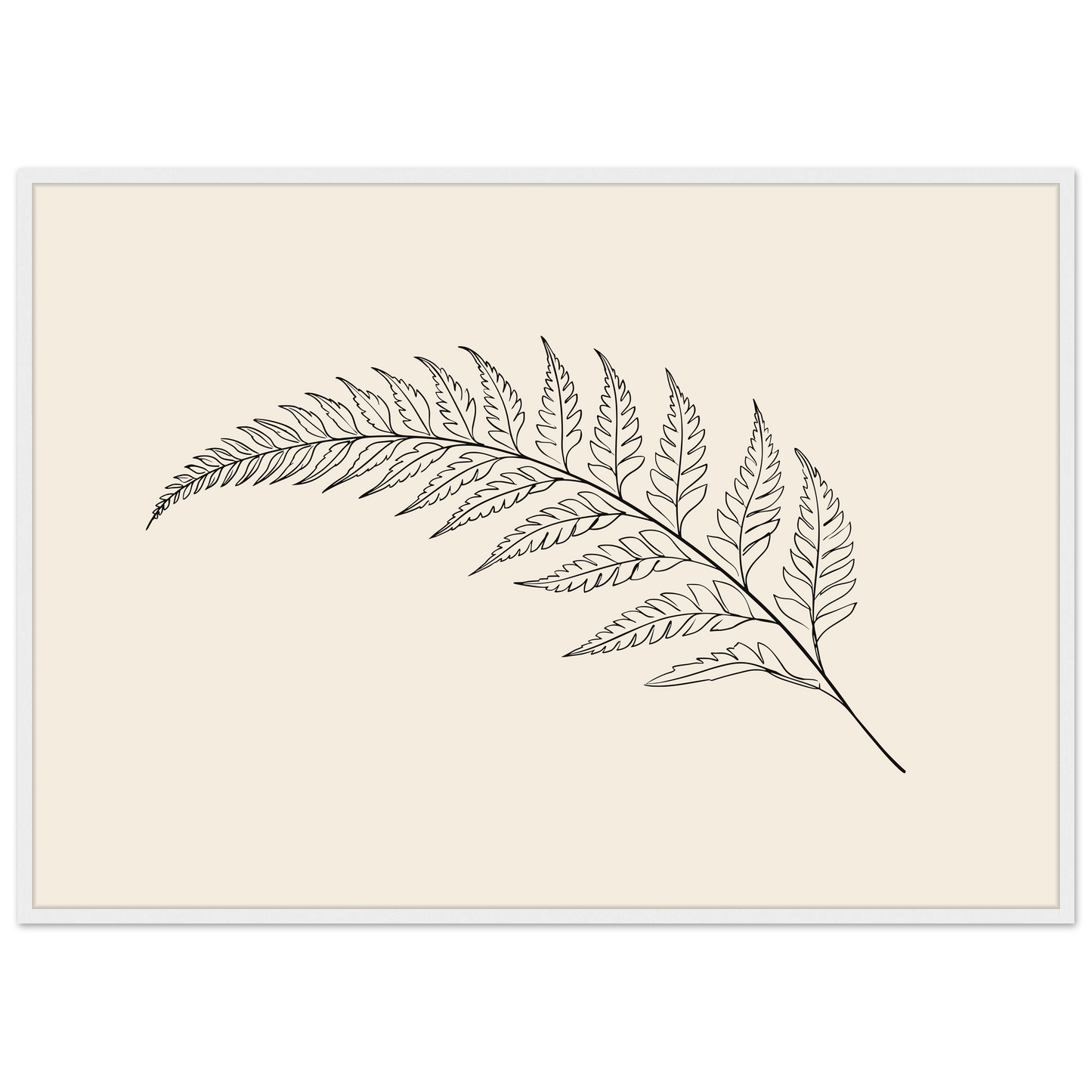 Fern frond line drawing on warm cream, print in a white frame