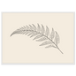 Fern frond line drawing on warm cream, print in a white frame
