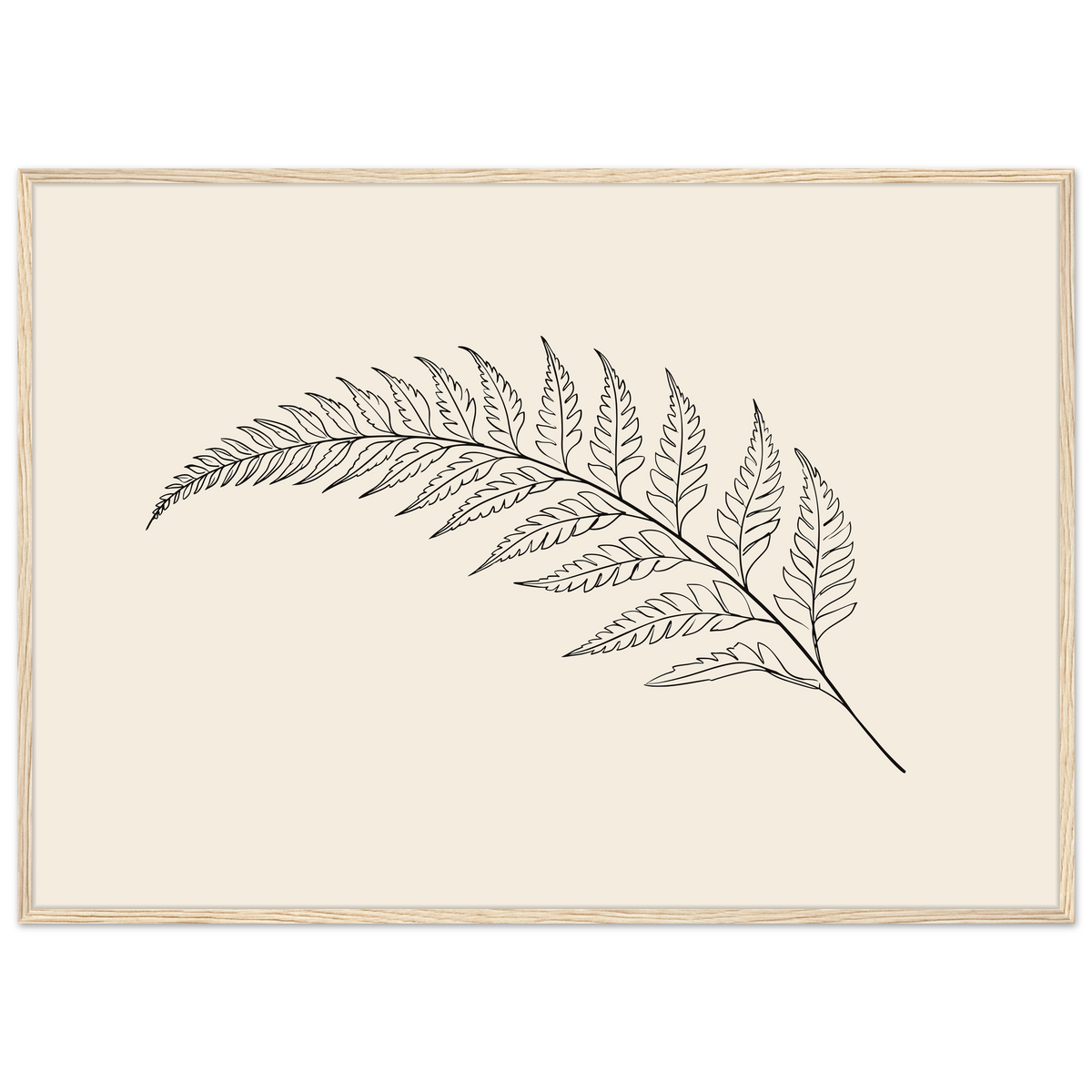 Fern frond line drawing on warm cream, print in a natural wood frame