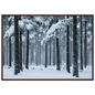 Fresh snow falling through a stand of tall pine trees, print in a dark wood frame