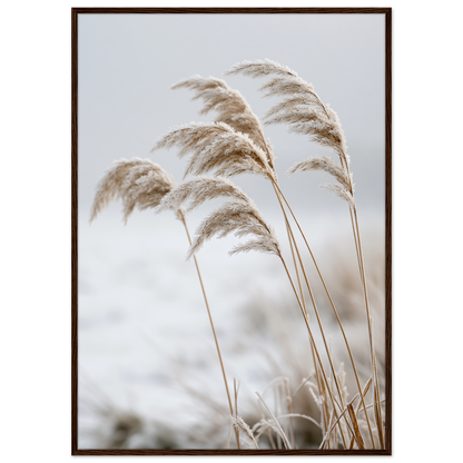 Five frosted reed seedheads bowed under ice, print in a dark wood frame