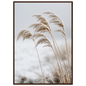 Five frosted reed seedheads bowed under ice, print in a dark wood frame