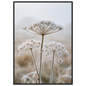 Three dried seedheads in hard frost, print in a black frame