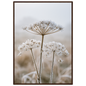 Three dried seedheads in hard frost, print in a dark wood frame